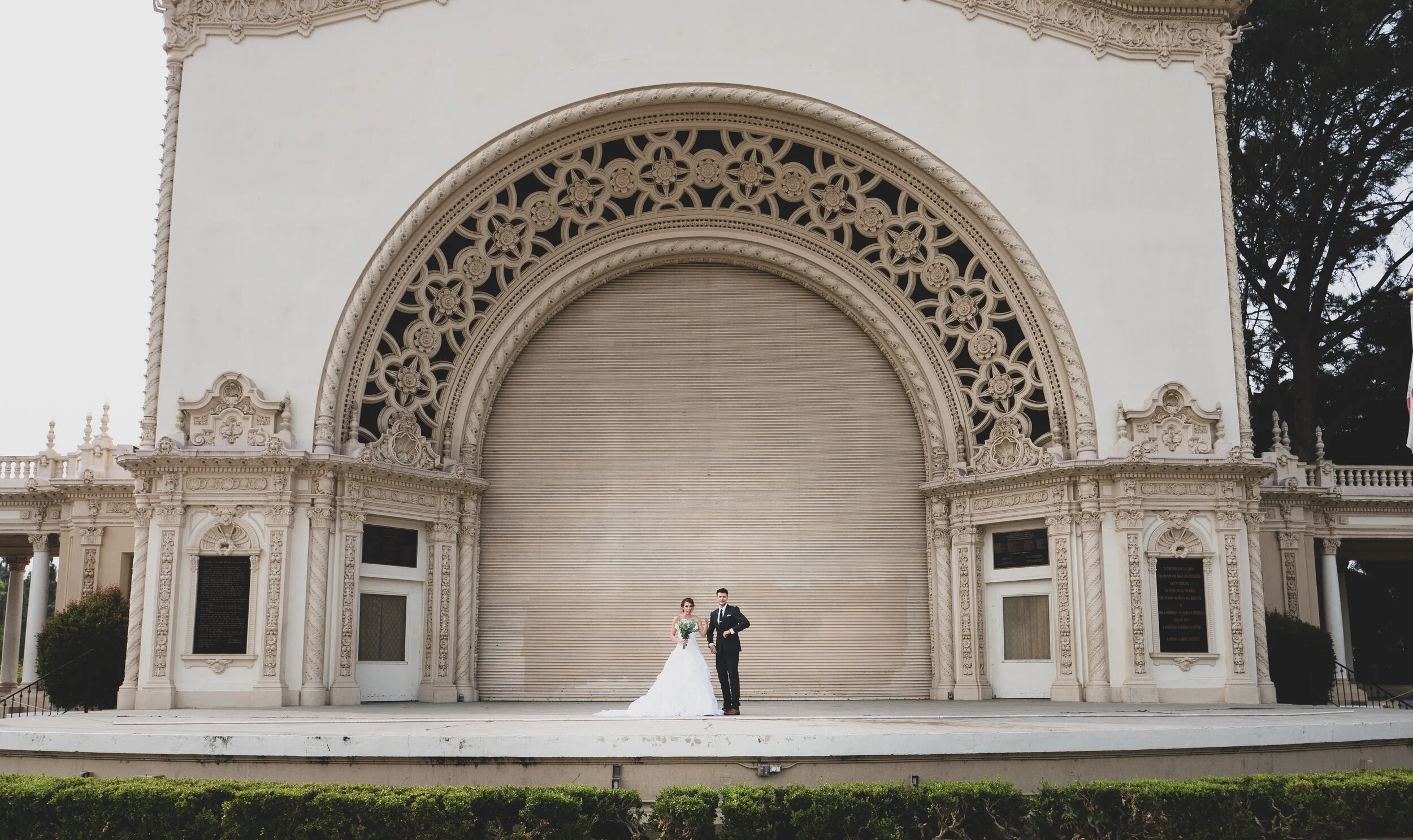 P1170178.jpg