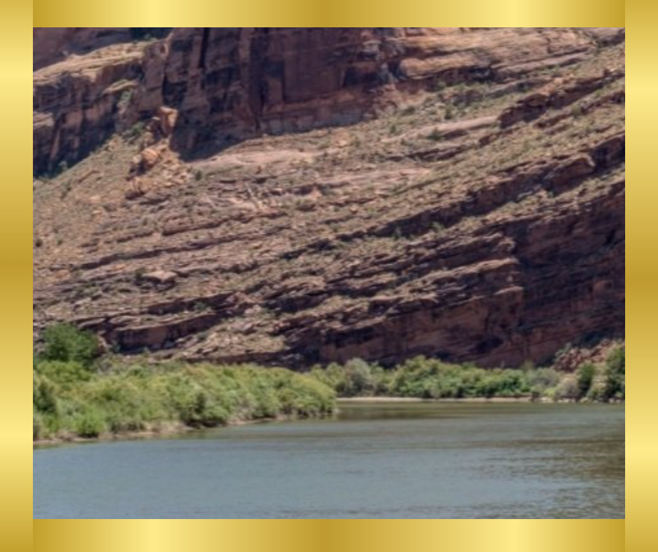 Discovering the Joy of Photography: My Journey and Your Challenges 📸