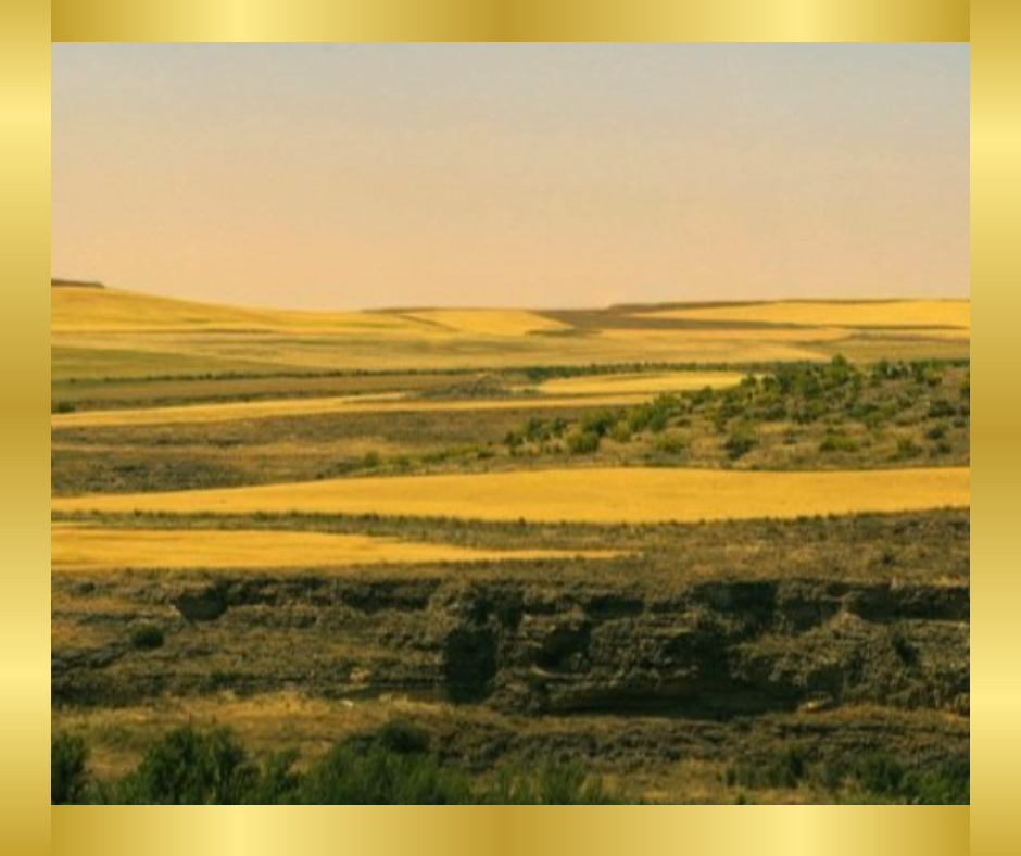 Navigating the Maze: The Perils of Country Driving