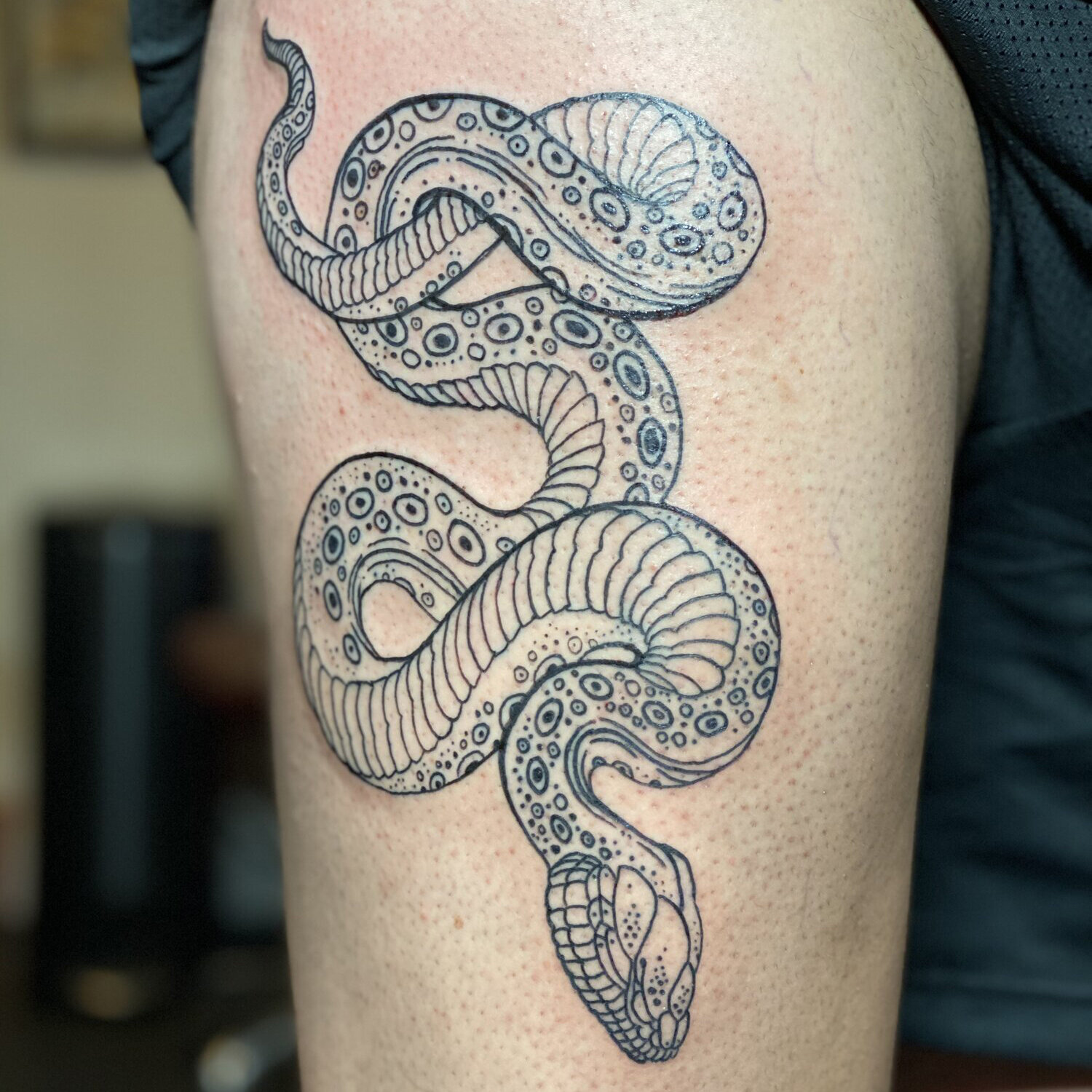 Beautiful Japanese Snake Tattoo Design