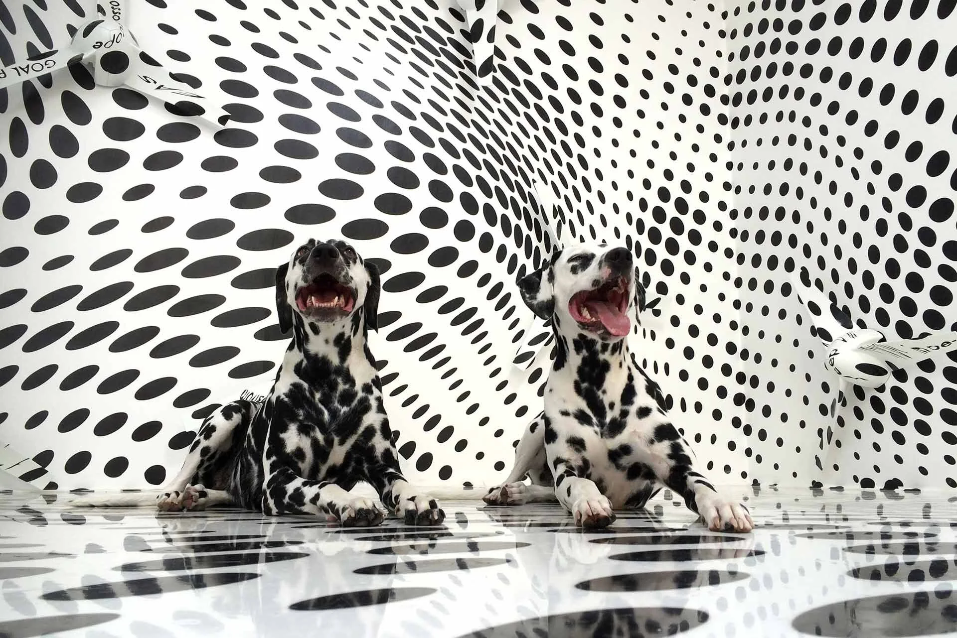 what remains gallery shows Tobias Rehberger