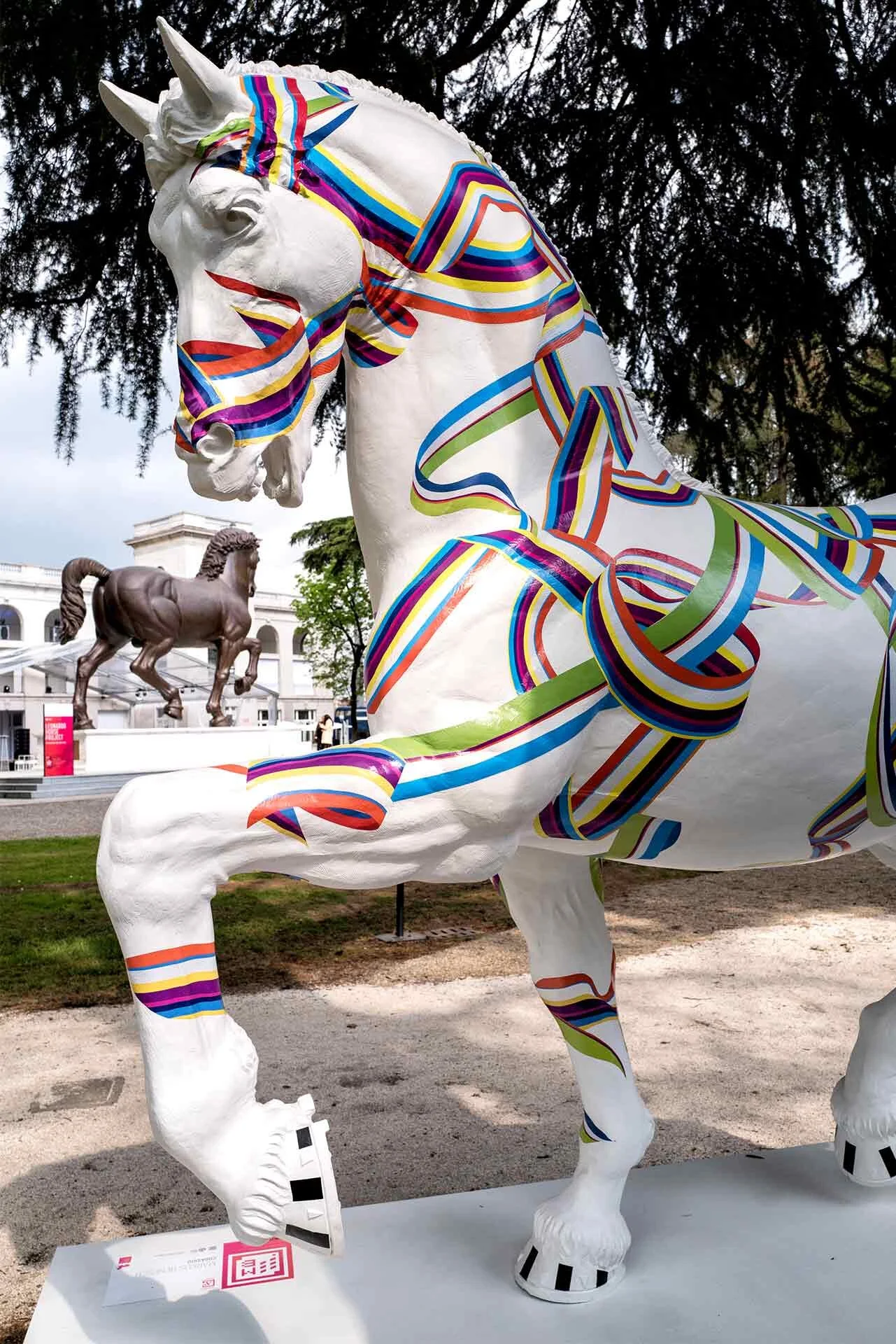 MBC_Cavallo-2.jpg