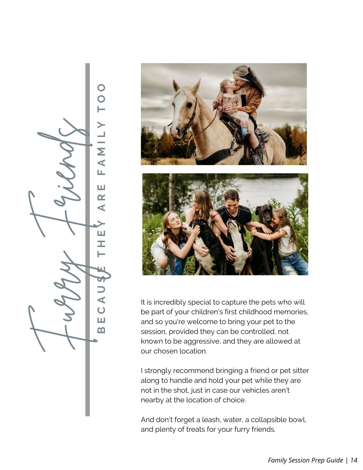 015_Furry friends.jpg