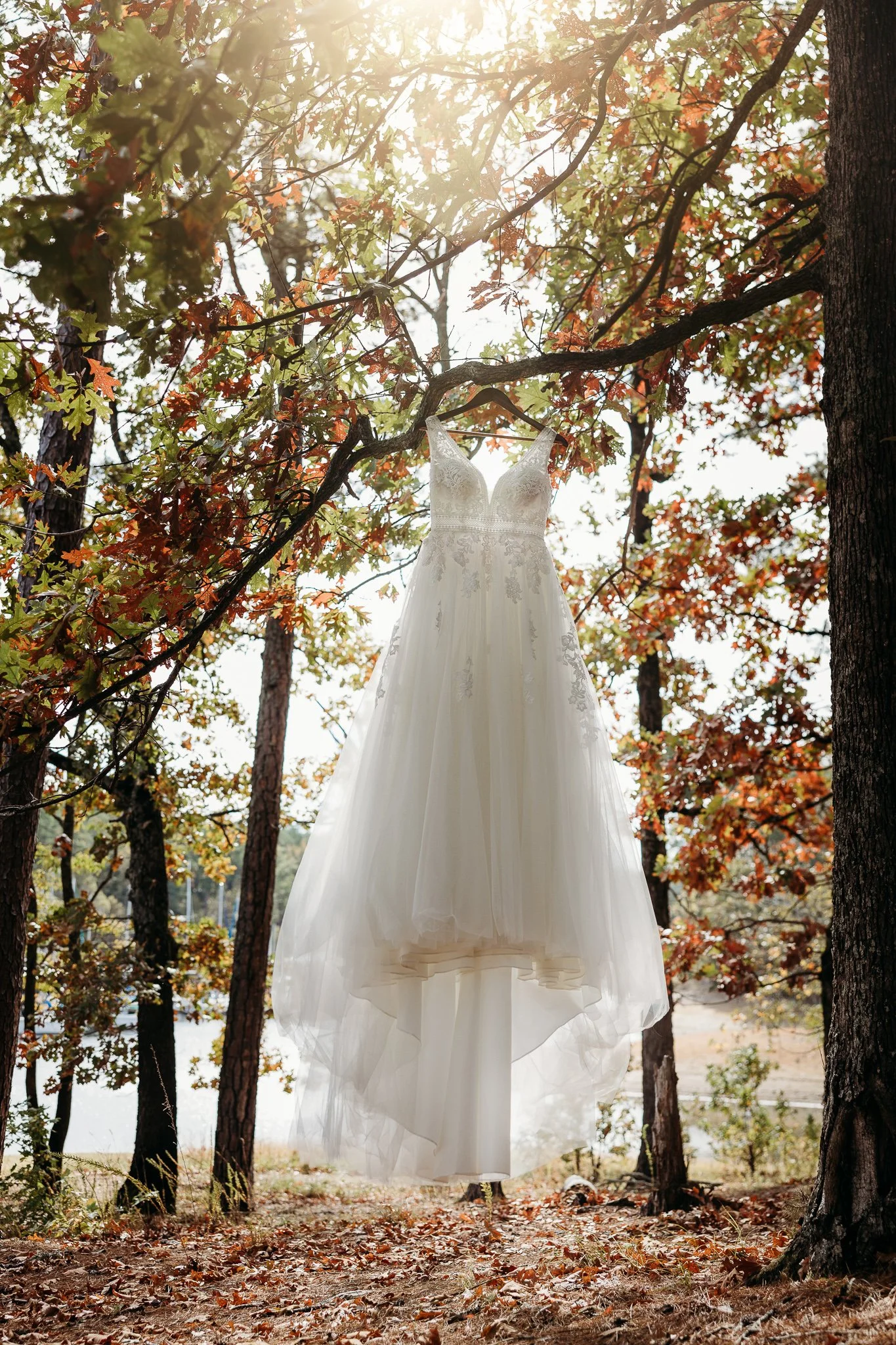 wedding photographer alaska 001.jpg