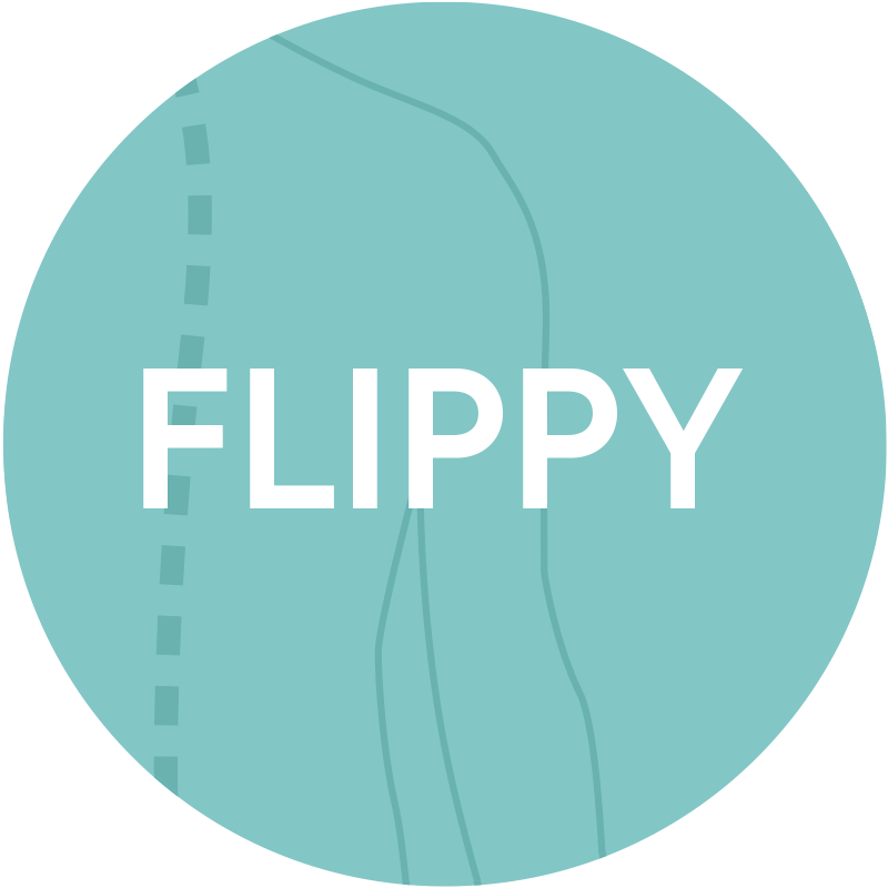 Flippy.png