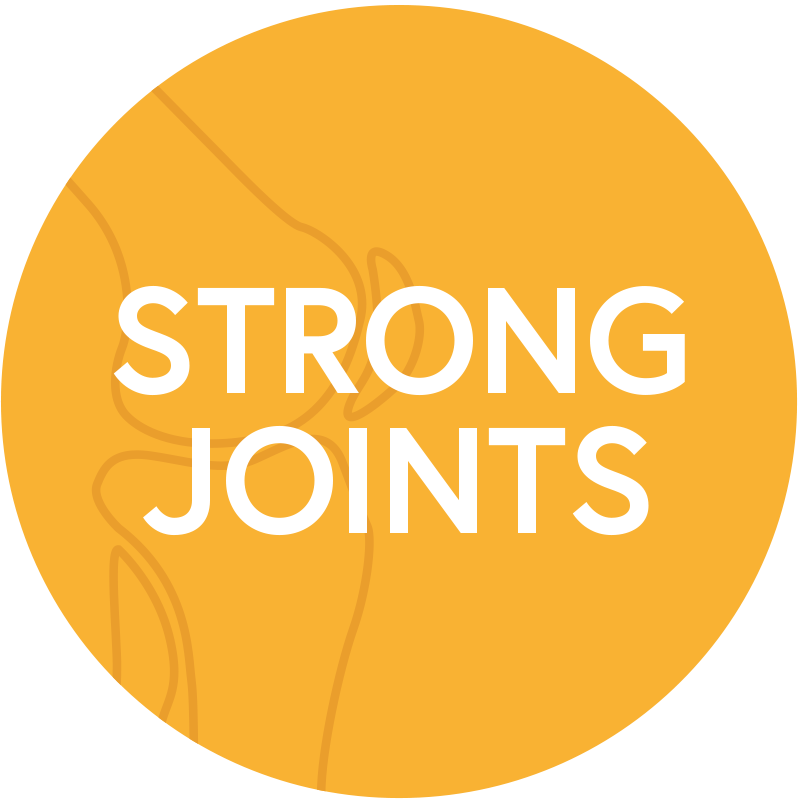 Icon-Joints-Strong-Joints.png