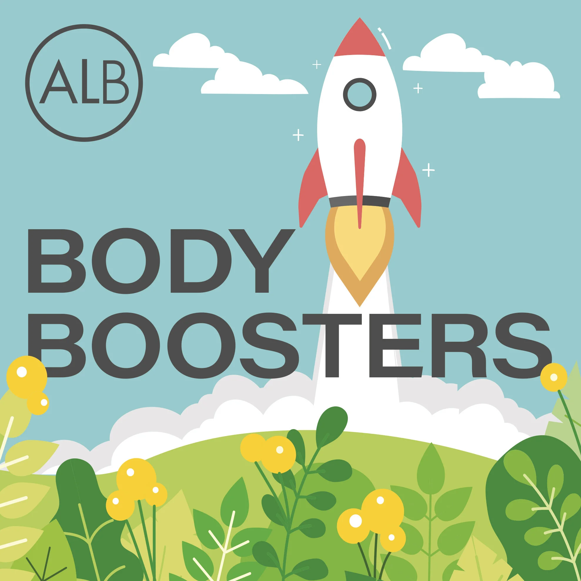 4 Body Booster Cover.jpg