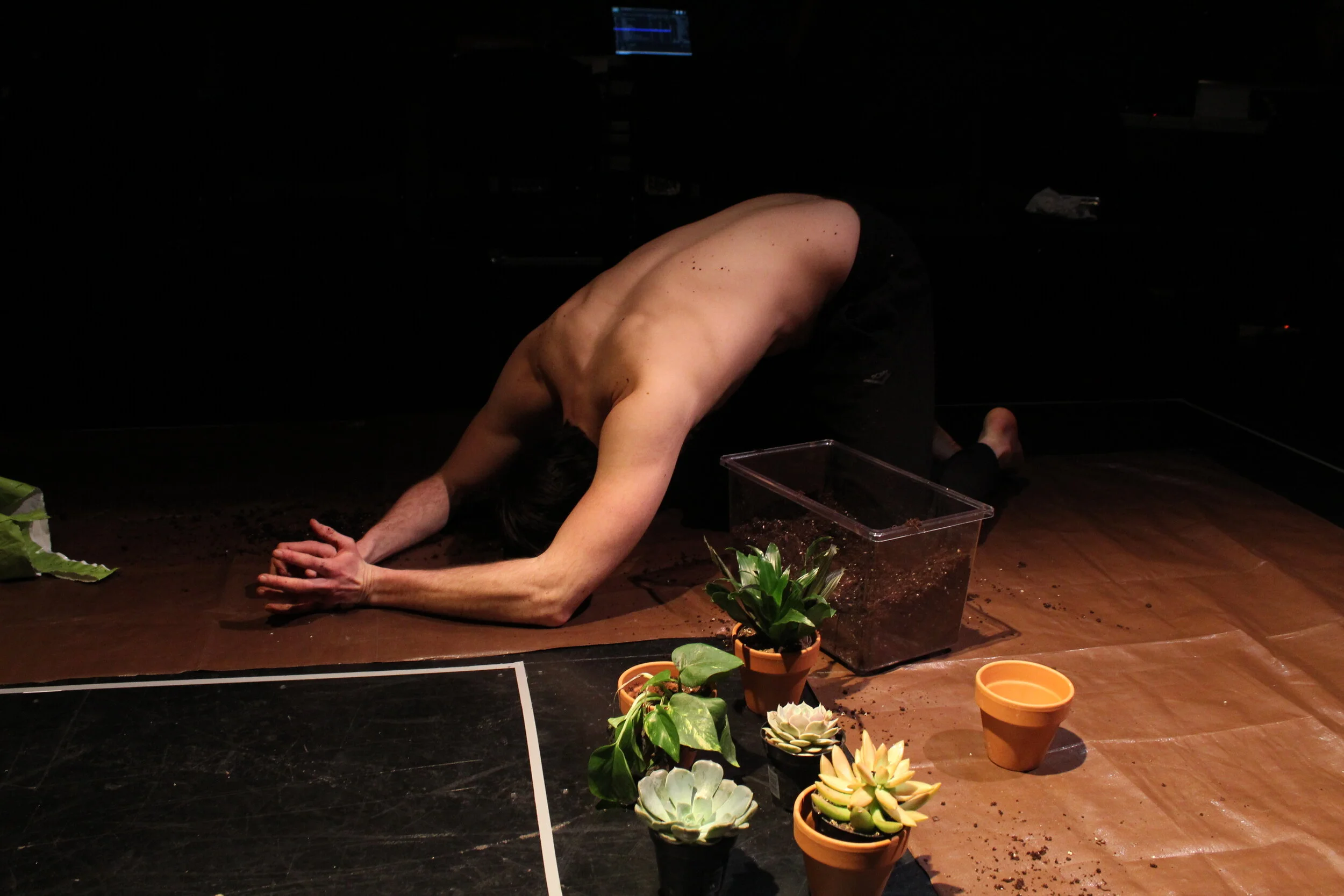 Photo by Madeleine Mason