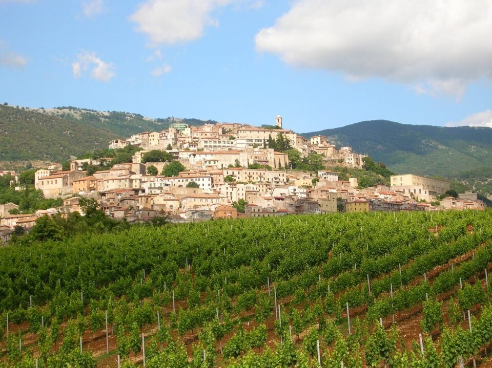Italy_LAZIO_Cincinnato_vineyards with a view of Cori_Oct 2011.jpg