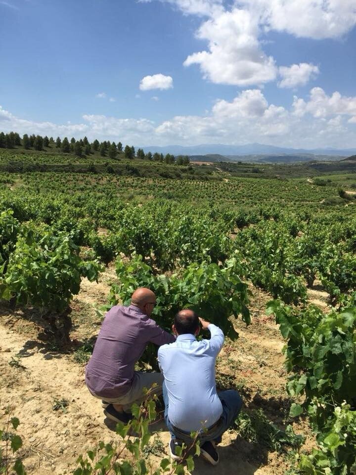 Colle Petrito_team in the vineyards.jpg