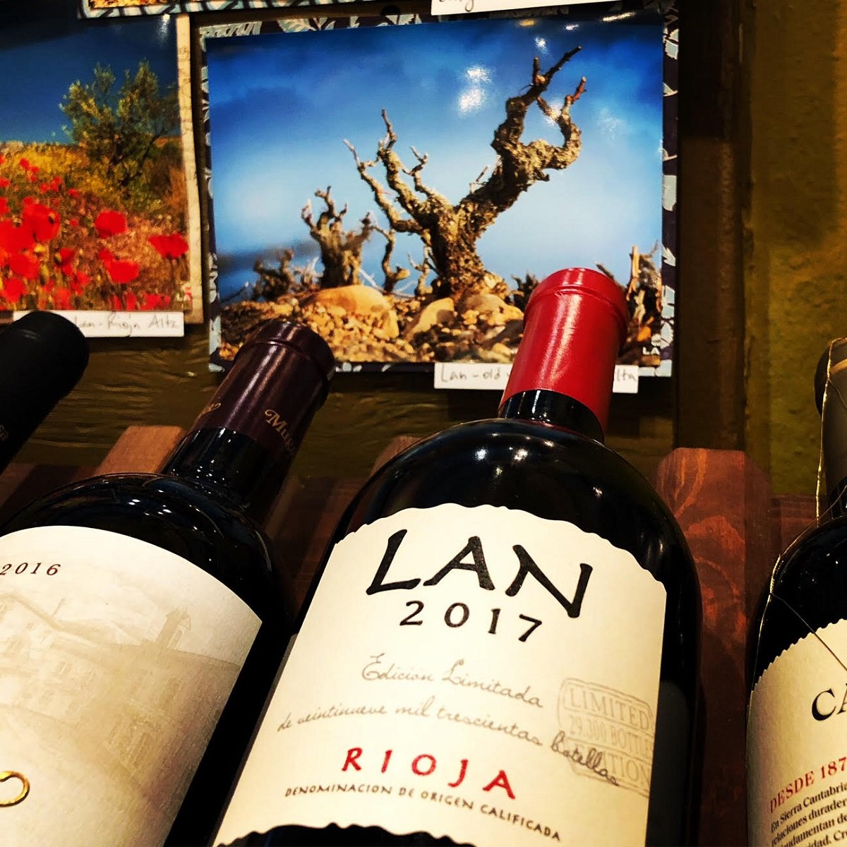 Label_SP_Lan Rioja Edicion Limitada.jpg
