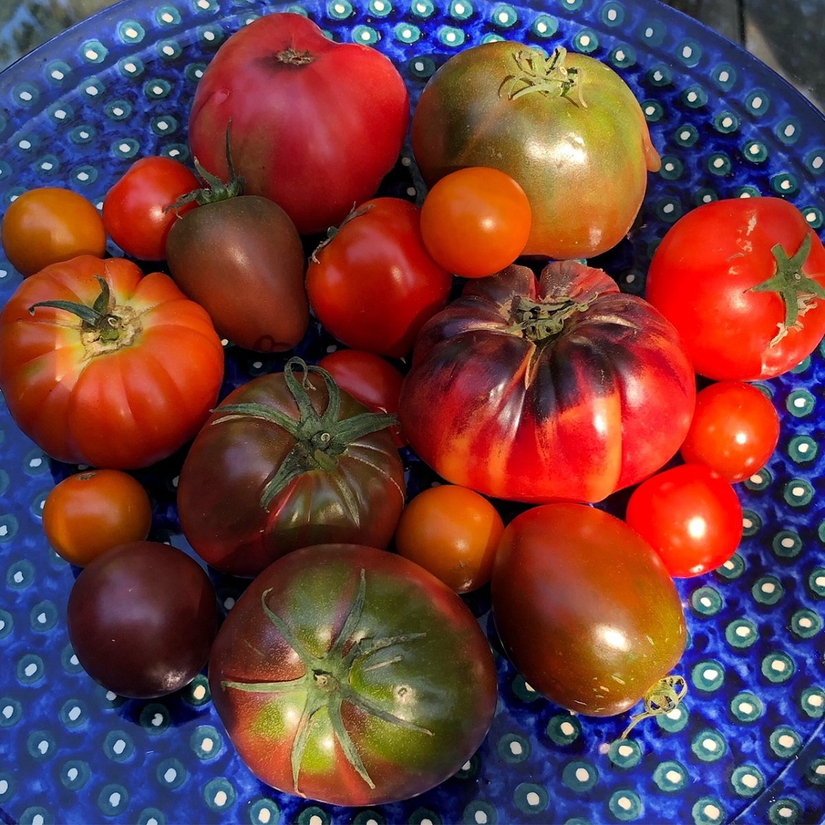Food_heirloom tomatoes_Sep 2021.jpg