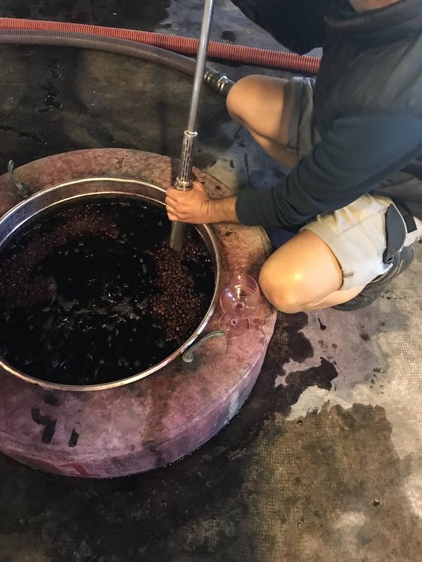 Le Plan des Moines_First tasting of the vintage 2018 from the tank (still fermenting).jpg