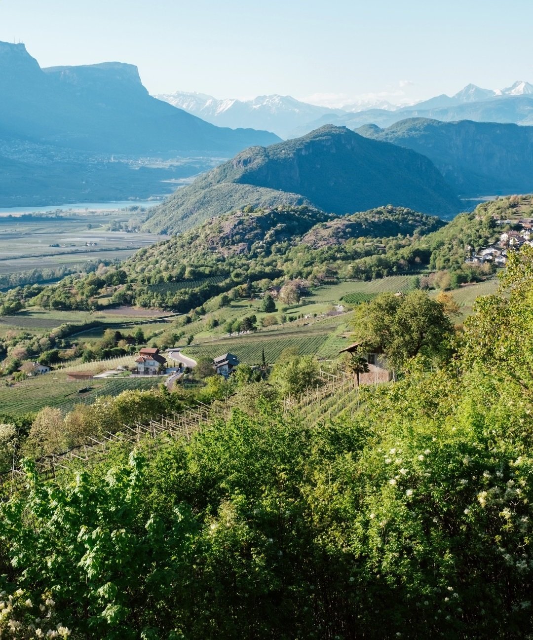 Castelfeder_Alto Adige Valley.jpg