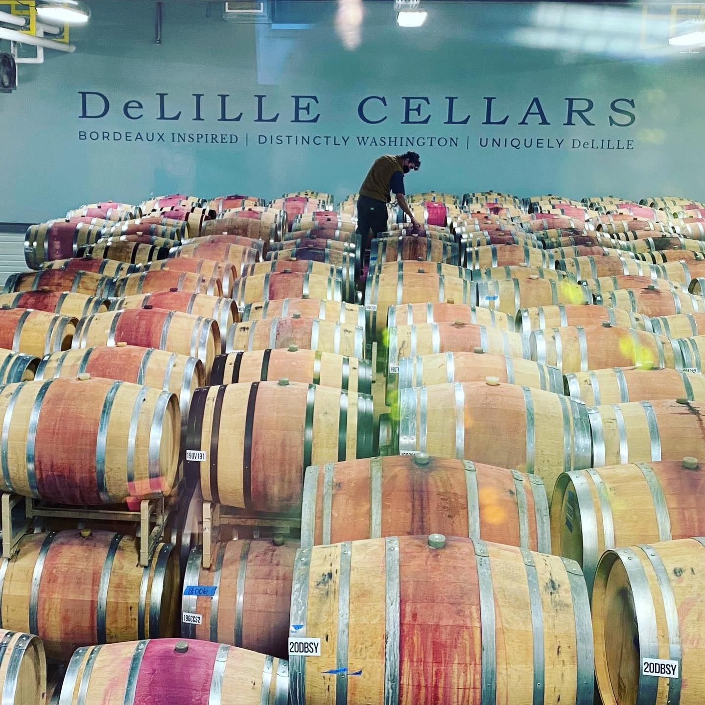 DeLille vineyards_Dec 2020.jpg