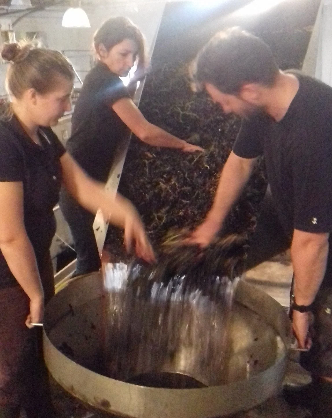 France_Southern Rhone_Janasse_crush_Isabelle Sabon in the middle.jpg