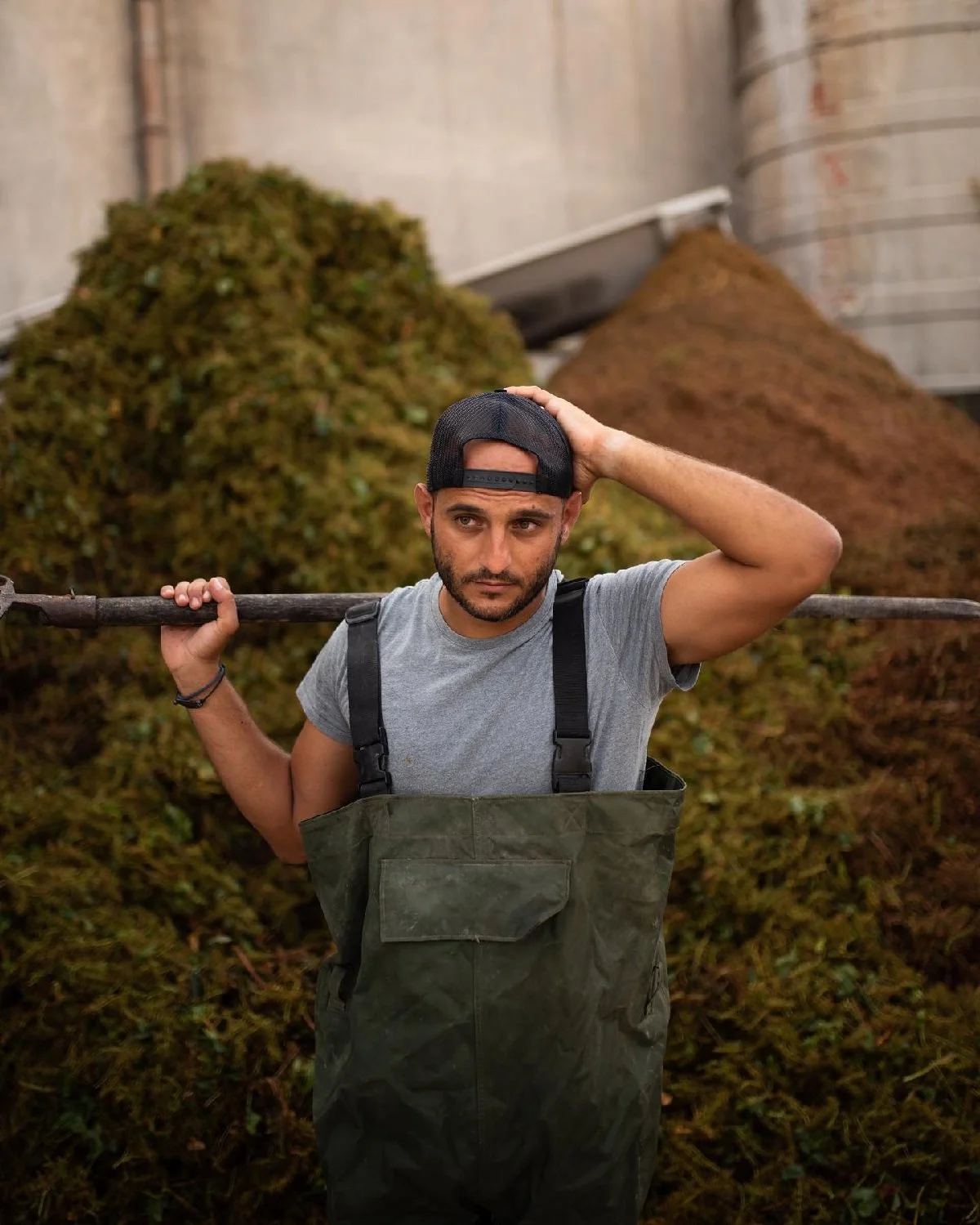 Italy_Sicily_Fina_son Sergio Fina_harvest_Aug 2023.jpg