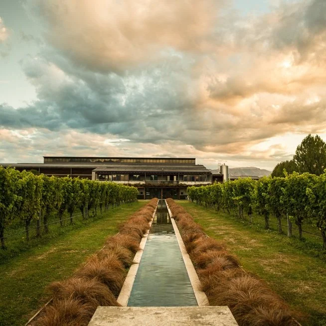 New Zealand_Marlborough_Villa Maria_estate.jpg