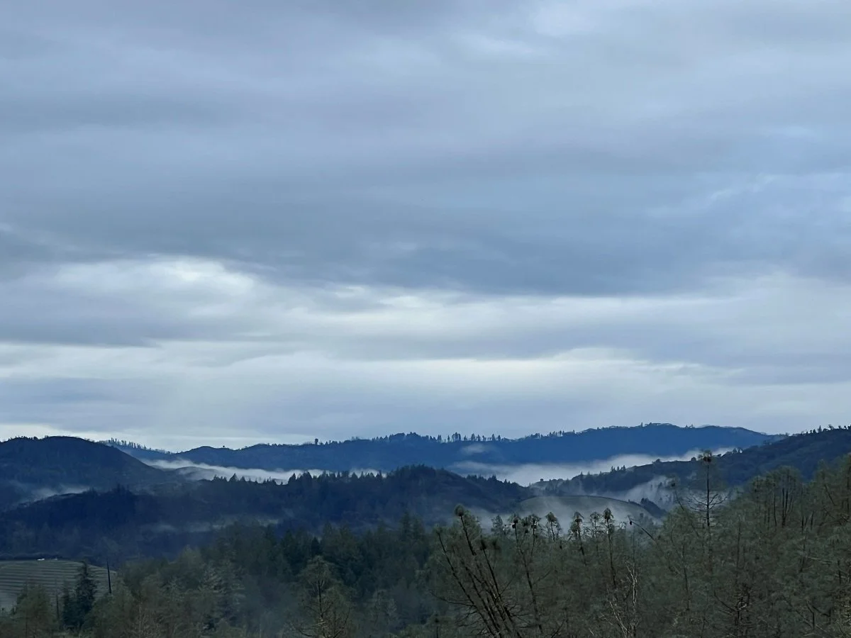 Dry Creek Valley_Jan 2026_24_view from Jen's.jpg