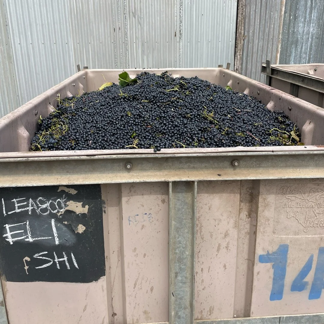 Australia_McLaren Vale_Hither & Yon_Shiraz.jpg