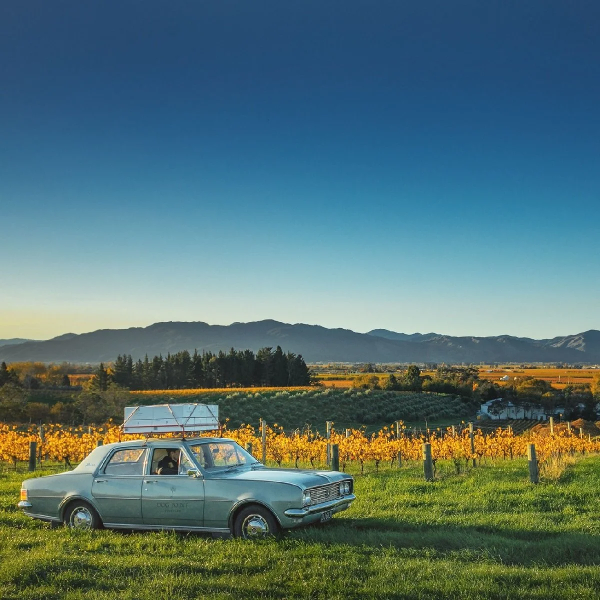 New Zealand_Dog Point_vineyards with car_square.jpg