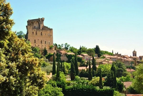 France_Southern Rhone_Chateauneuf_Bois de Boursan_village ruins.jpg