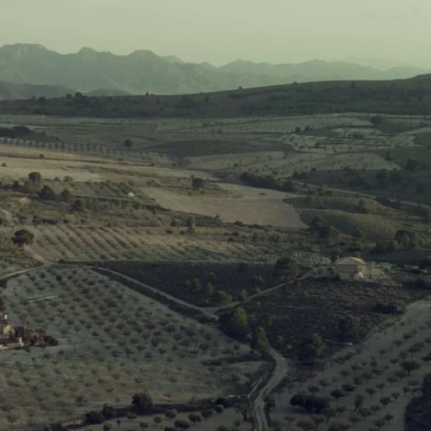 Spain_Jumilla_Juan Gil_vineyards_v2.jpg