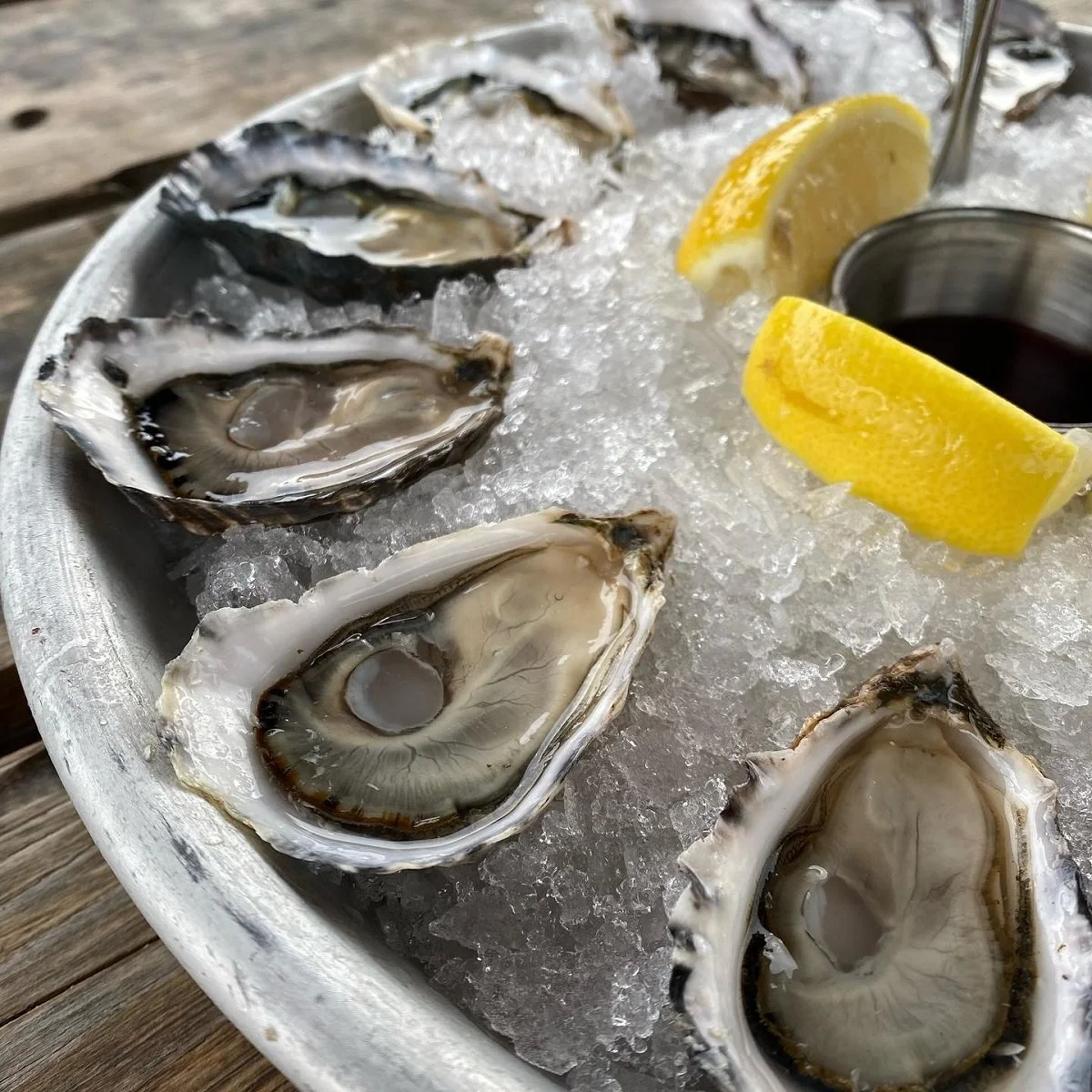 Oysters_Hama Hama.jpg