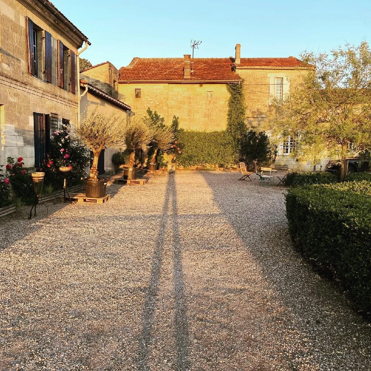 France_Bordeaux_Lalande de Pomerol_Canon Chaignon_estate_May_spring.jpg