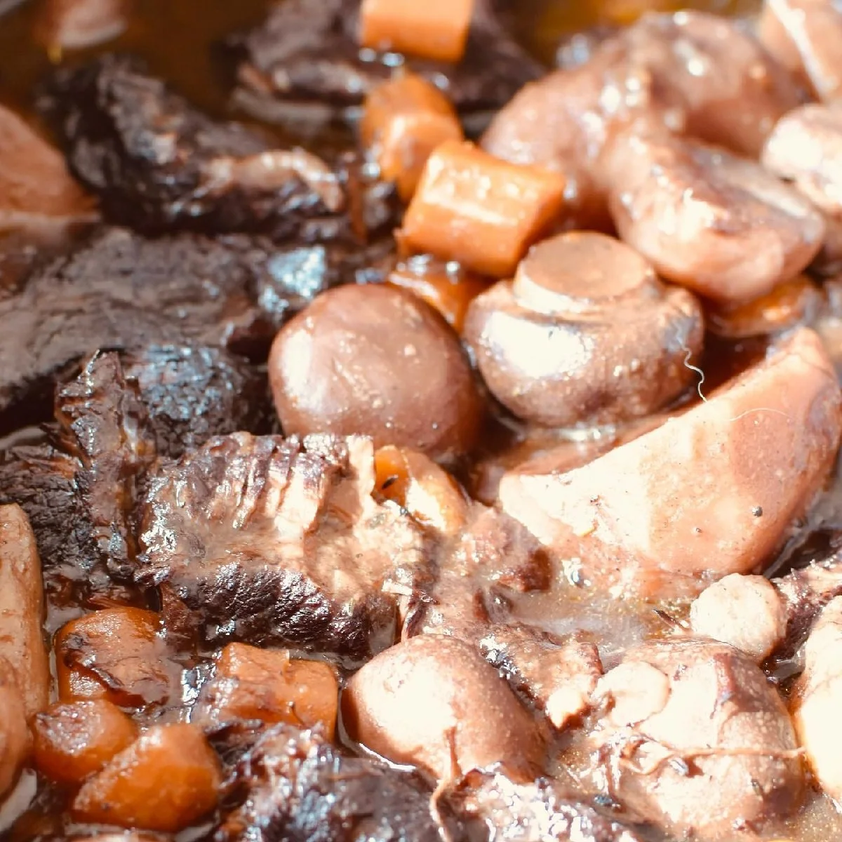 France_Bordeaux_Lalande de Pomerol_Canon Chaignon_stew.jpg