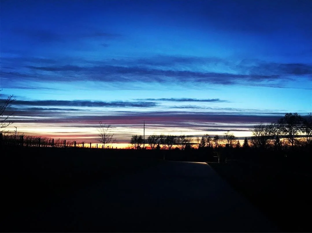 Walla Walla_Tranche_vineyards_estate_Feb_winter.jpg