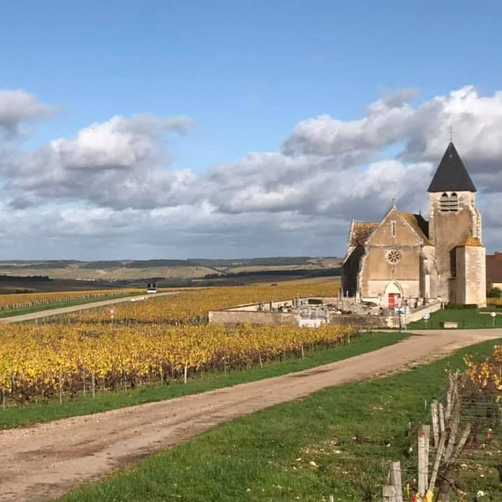 France_Chablis_Vincent Wengier_vineyards.png