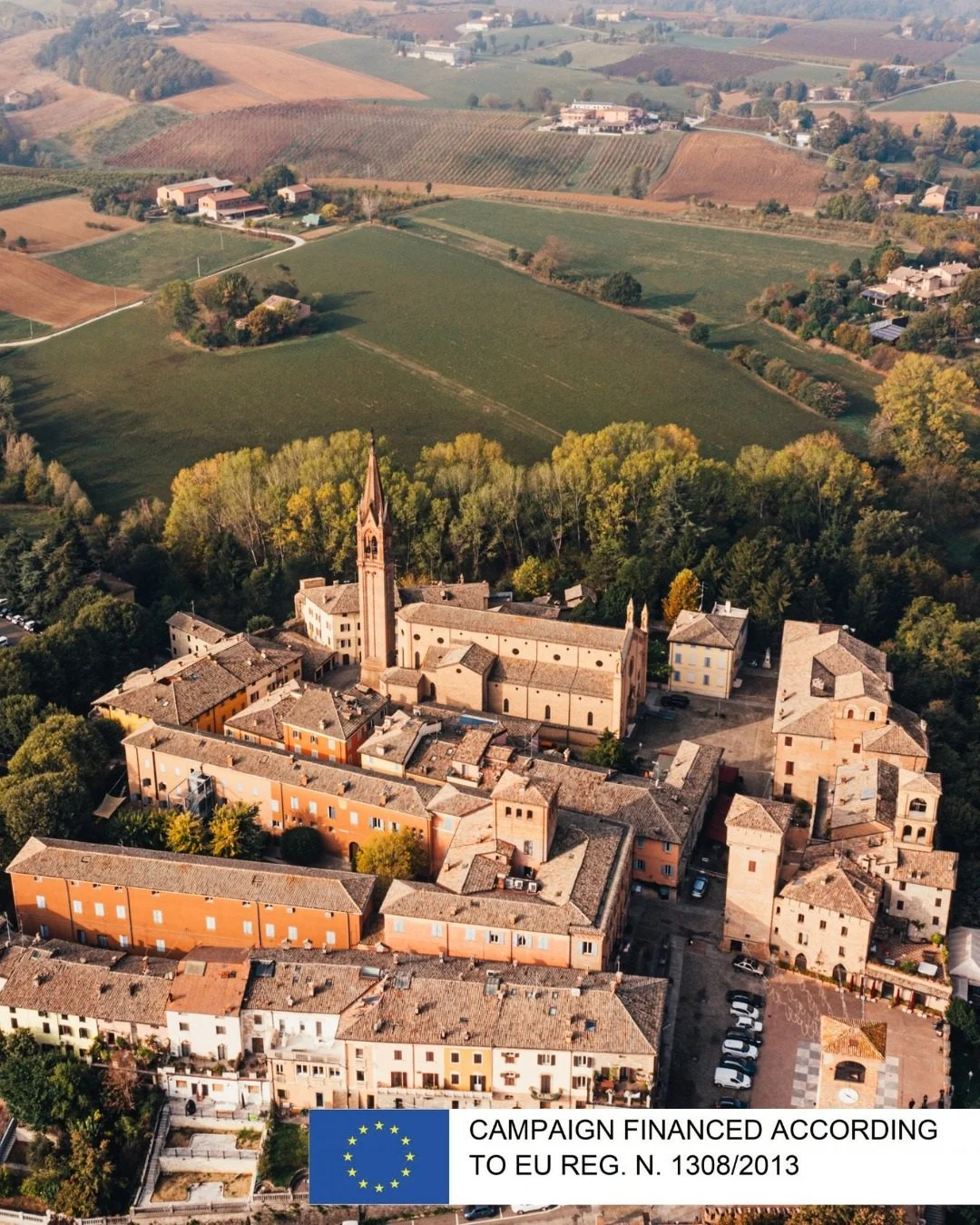 Italy_Emilia Romagna_Settecani_Lambrusco_vineyards_v4.jpg