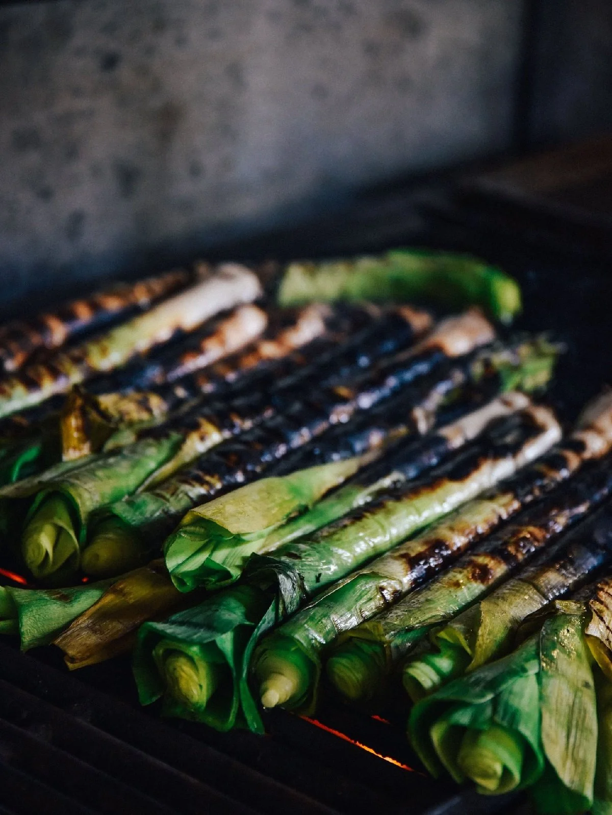 Australia_Barossa Valley_Yalumba_food_grilled leeks.jpg