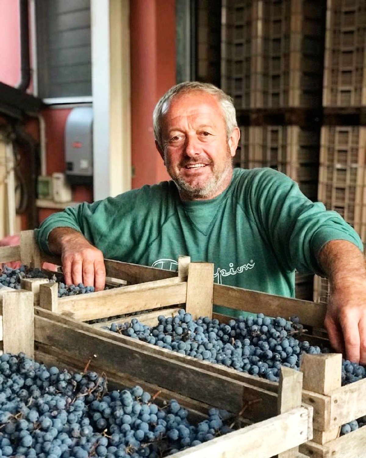 Italy_Valpolicella_Luciano Arduini.jpg
