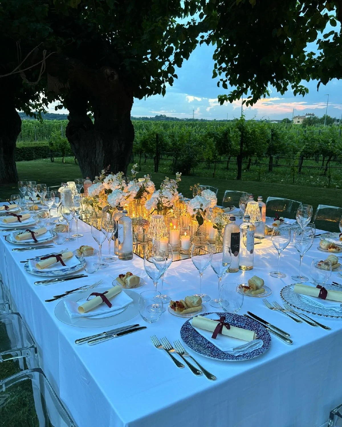 Italy_Valpolicella_Lugano_Zenato_vineyards_dinner_food_cheers.jpg