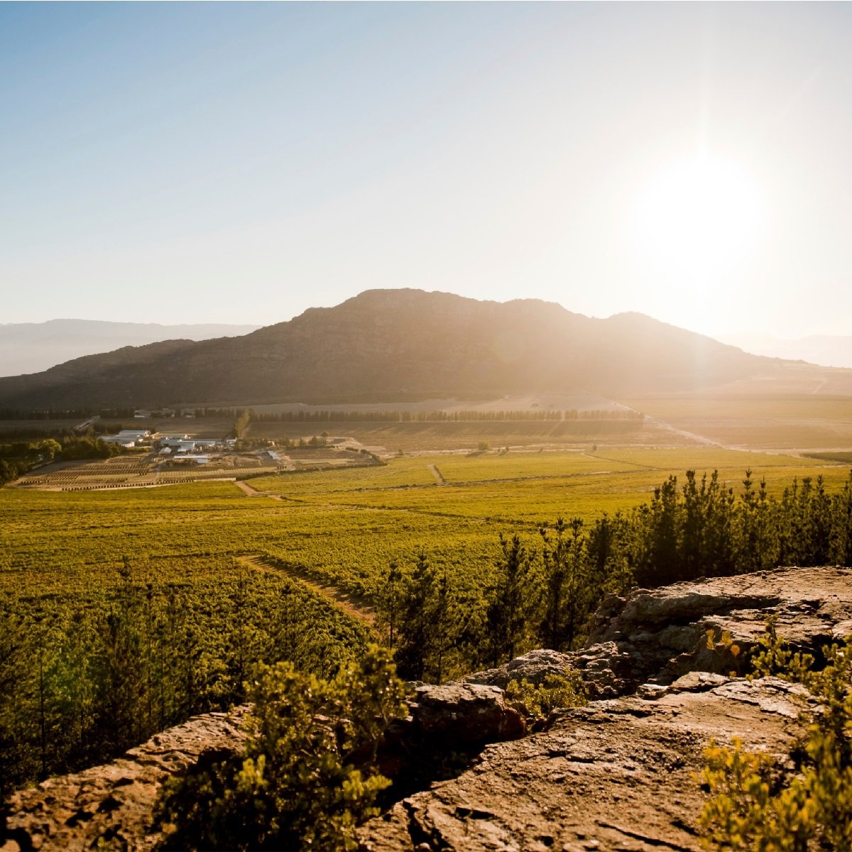 South Africa_Swartland_Piekenierskloof_Six Hats_winery.jpg