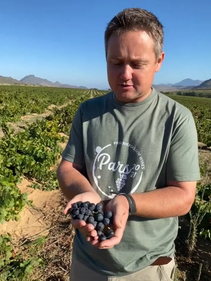 South Africa_Swartland_Piekenierskloof_Six Hats_Cinsault_v3.jpg