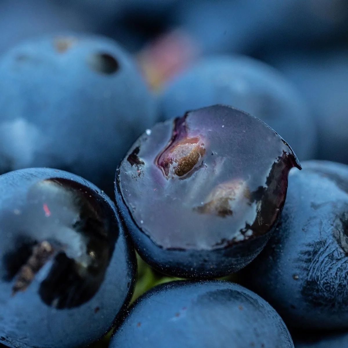 Italy_Tuscany_Silvio Nardi.jpg