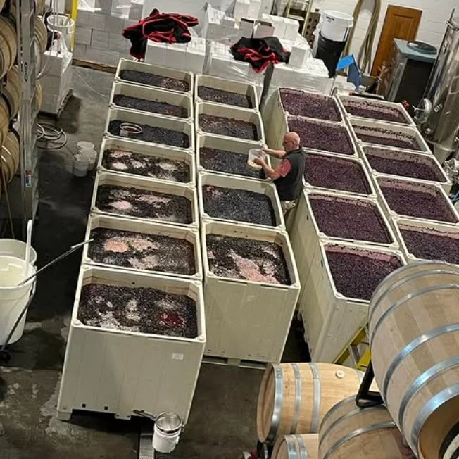 Bartholomew_Bart at work_October 2024.jpg