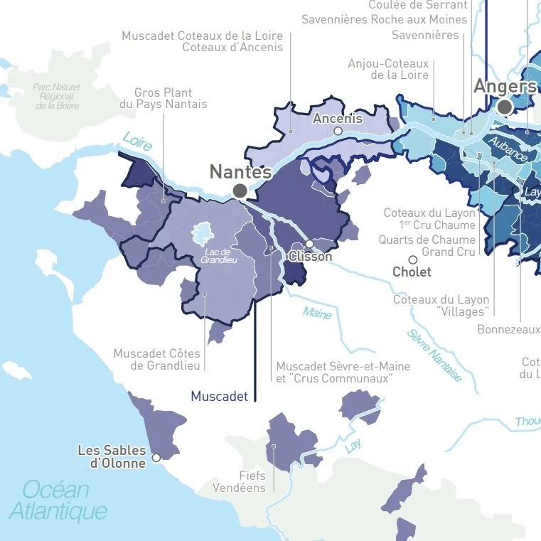 Map_France_Vins du Loire_Loire Valley_1200_Muscadet.jpg