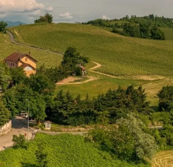 Italy_Piedmont_La Bollina_estate_square_v3.jpg