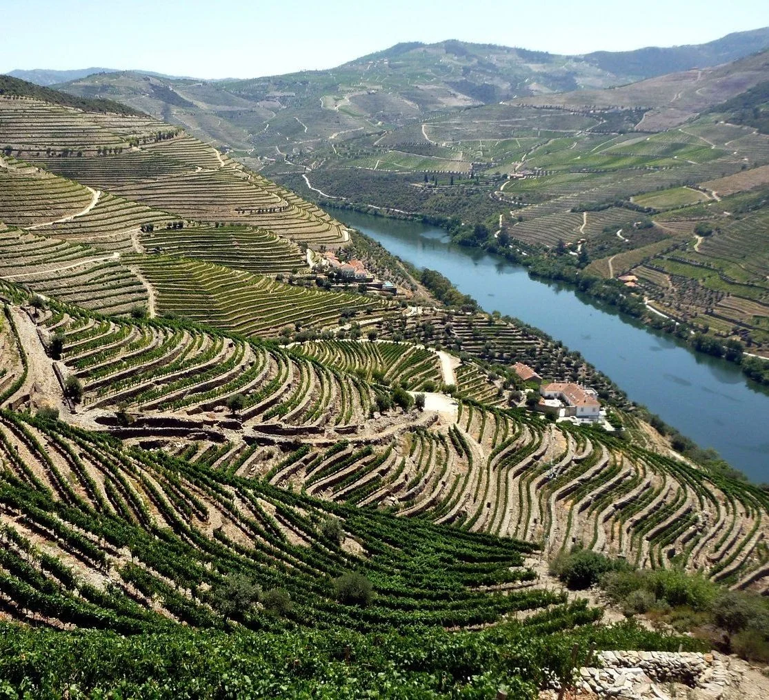 Quinta da Romaneira_vineyards_arial_square.jpg