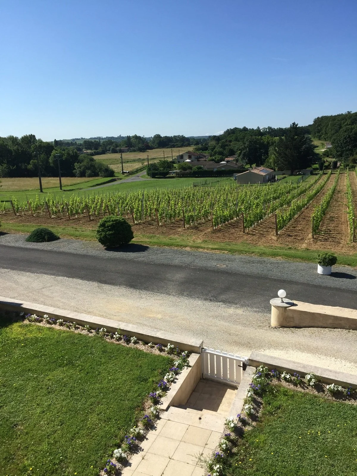 France_Bordeaux_Entre-Deux-Mers_Chateau Petit Freylon_vineyards.jpg
