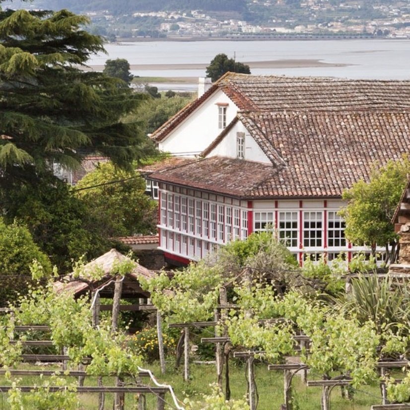 Spain_Rias Baixas_Santiago Ruiz_vineyards_v2.jpg