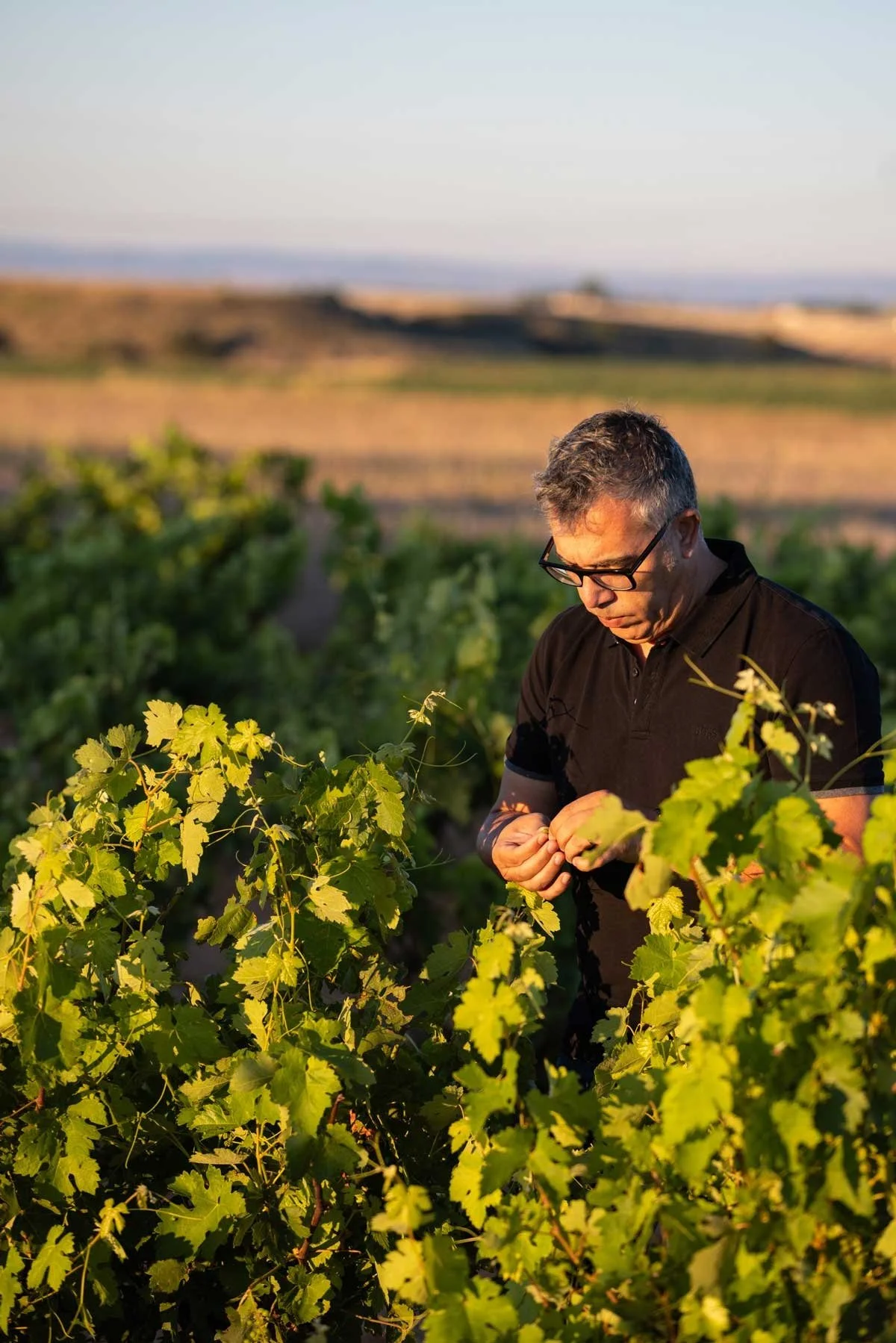 Spain_Ribera del Duero_Coto de Caleruega_Lluis Laso_winemaker.jpg