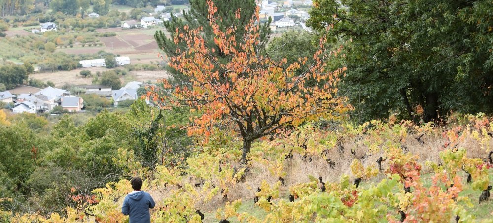 Northwest Spain