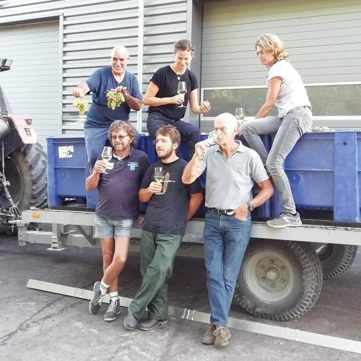 France_Chablis_Michel Laroche et ses enfants_harvest_team.jpg