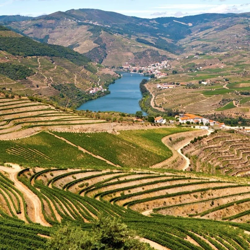 France_Rhone_Lavau_Rhone Valley.jpg