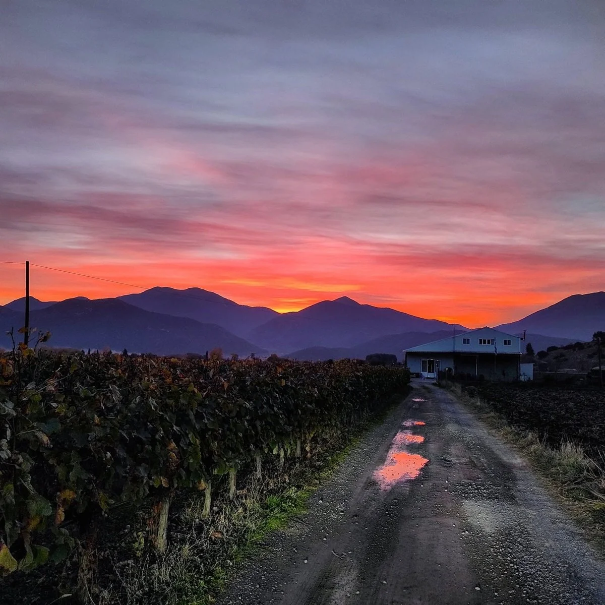 Greece_Tripolis_Panagopoulos_spring sunset_March.jpg